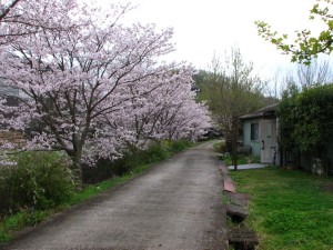 ふくろうの家　その１